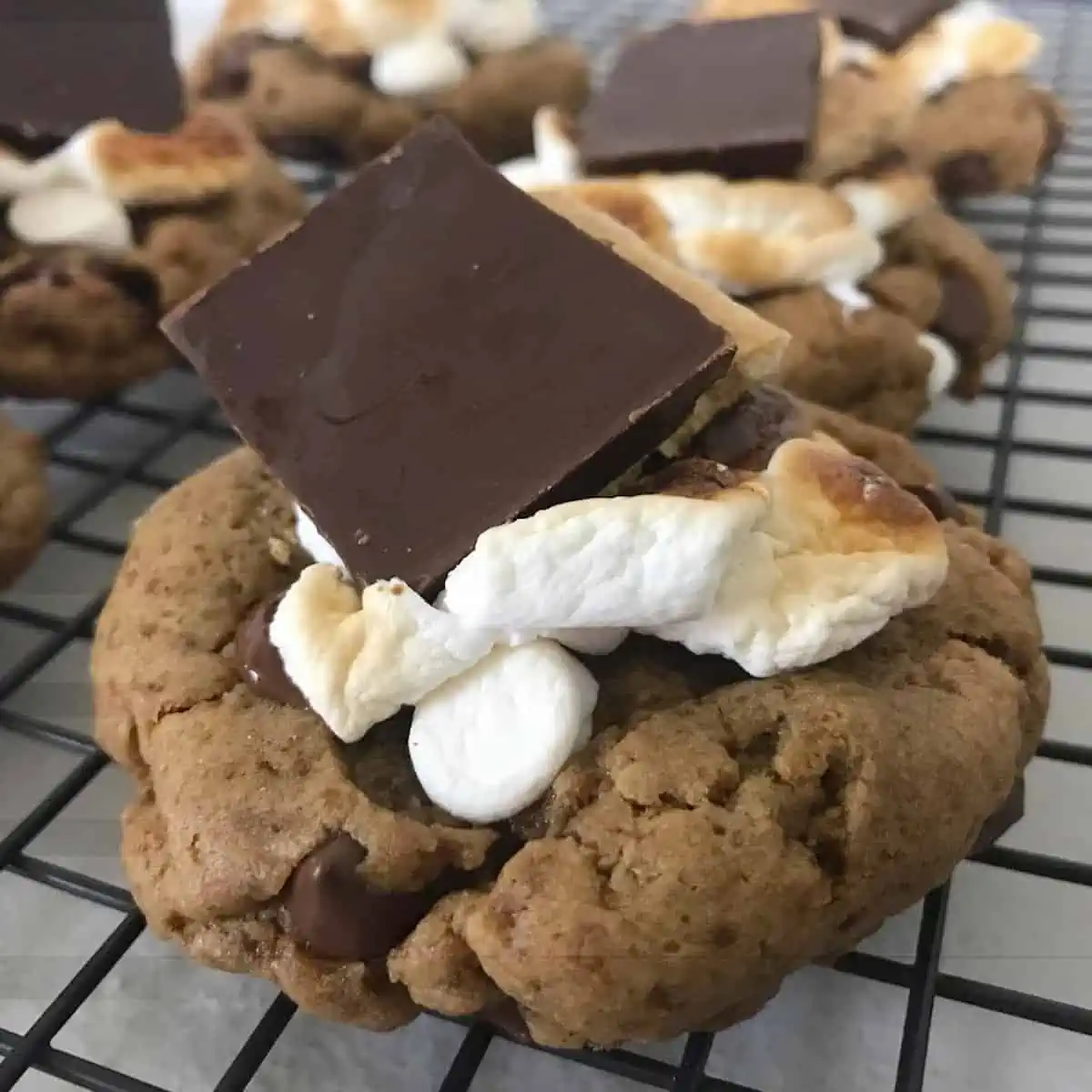 Vegan s’mores cookie from Coco Luv, a plant-based online bakery in Los Angeles.