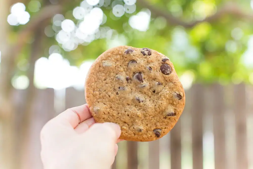 Vegan chocolate chip cookie from Fat Badger, an online vegan bakery delivery option.