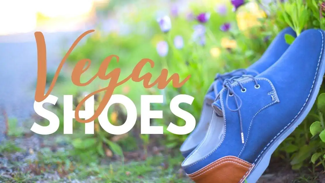 Guide to Vegan Shoes with men's manmade blue suede dress shoes in a garden.
