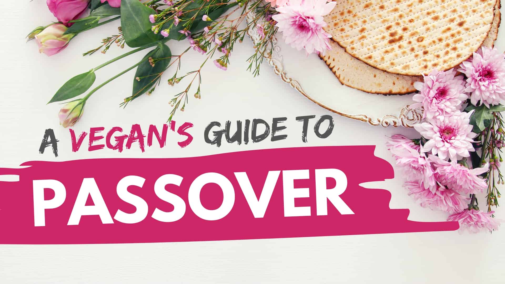A graphic with the words A Vegan's Guide To Passover.