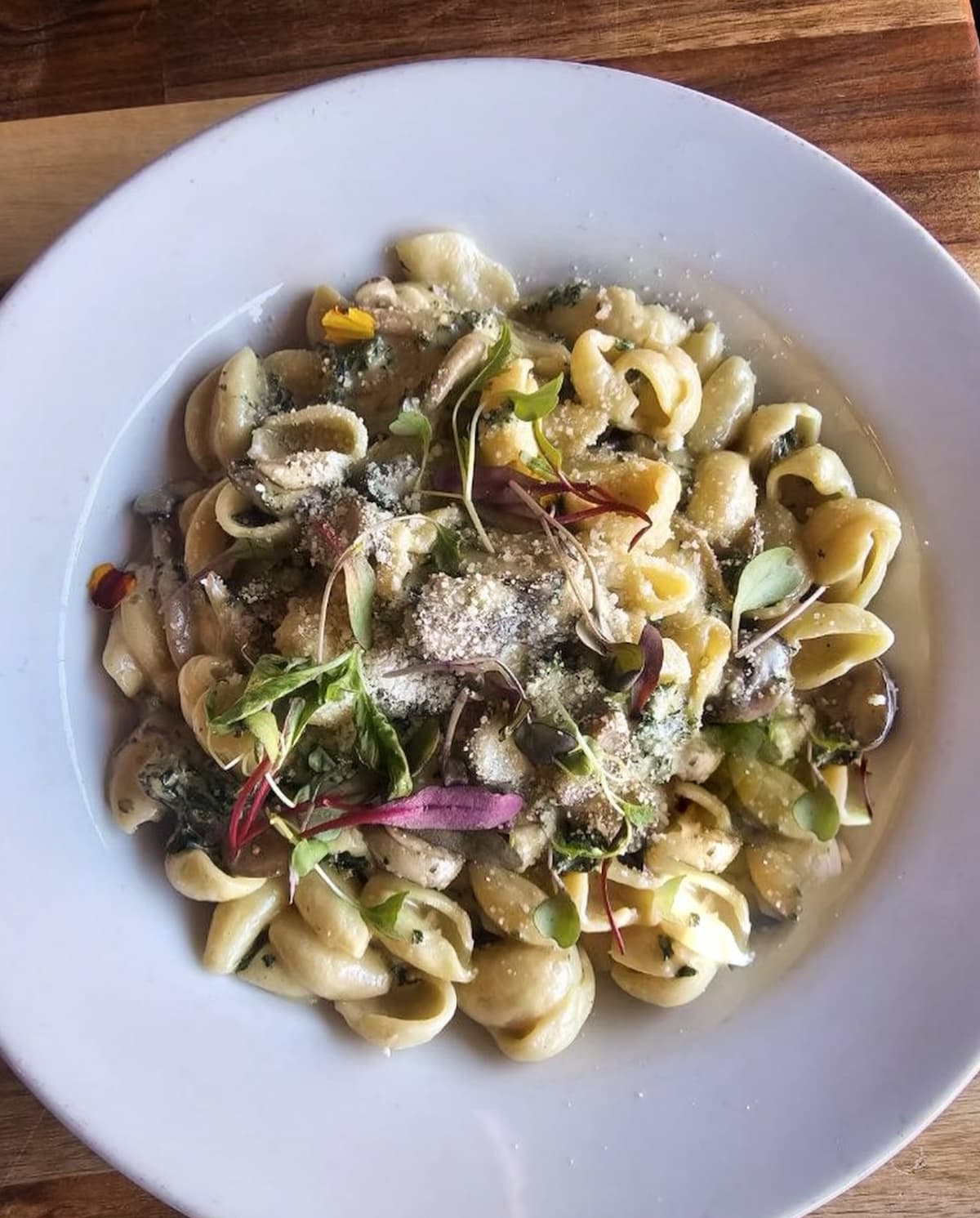 A vegan alfredo dish from Lilla in Portland, Oregon.
