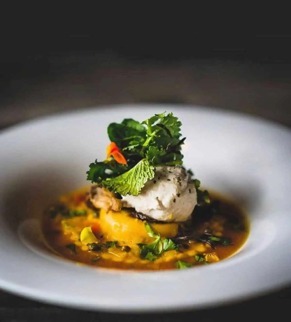 Three-cheese vegan raviolono from Plant restaurants in Asheville.