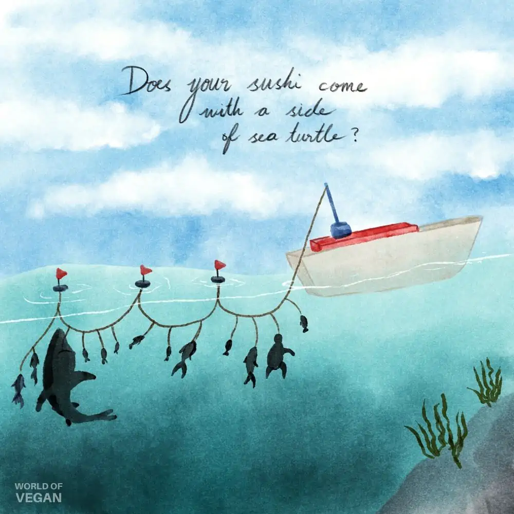 Long Line Fishing Illustration from World of Vegan Art.