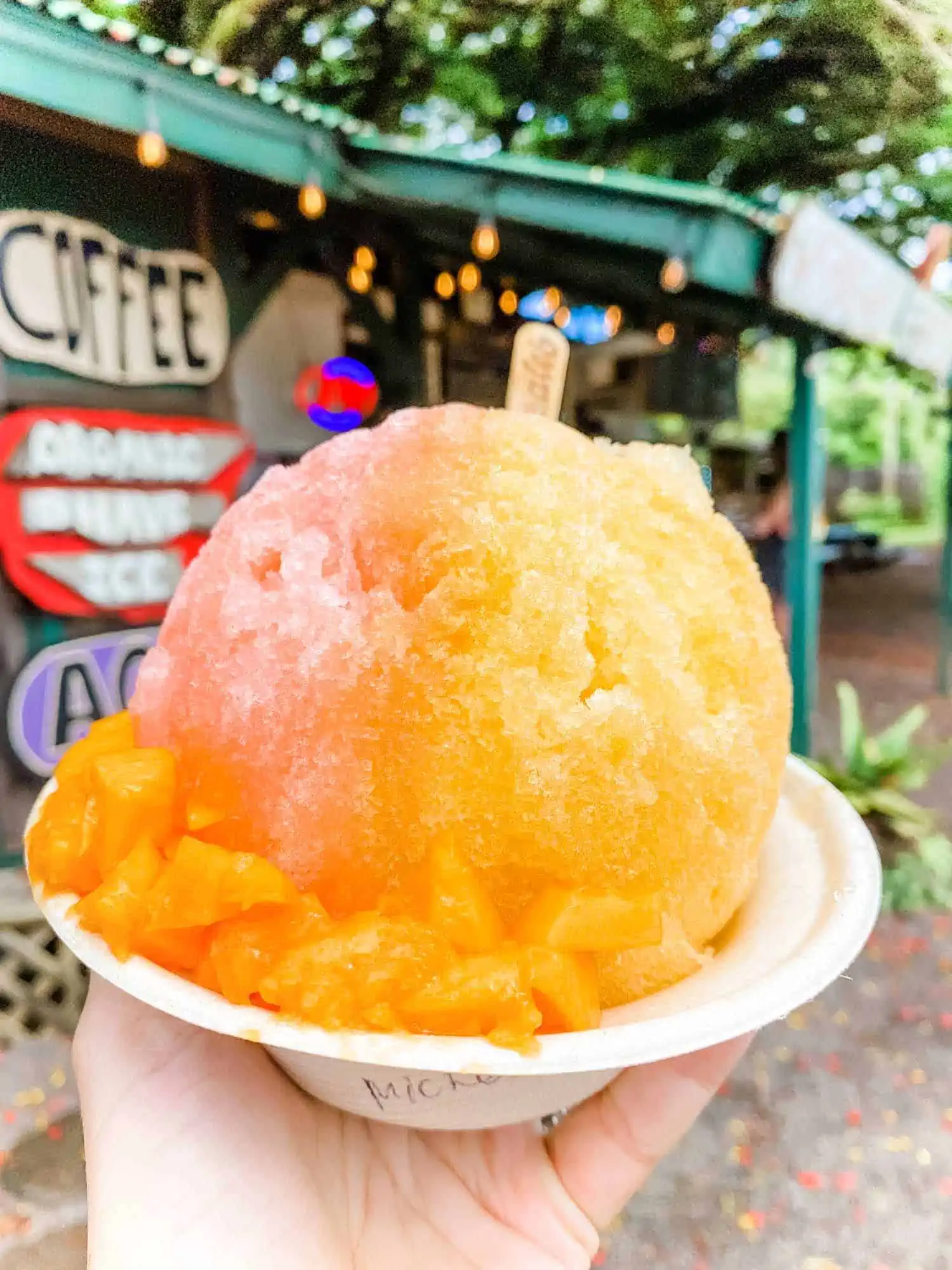 Shave Ice from Wishing Well Food Truck in the North Shore of Kauai