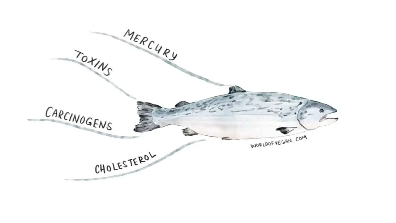 A Wolrd of Vegan illustration of a fish showing four reasons why eating fish is not healthy for you including mercury, toxins, carcinogens, and cholesterol.