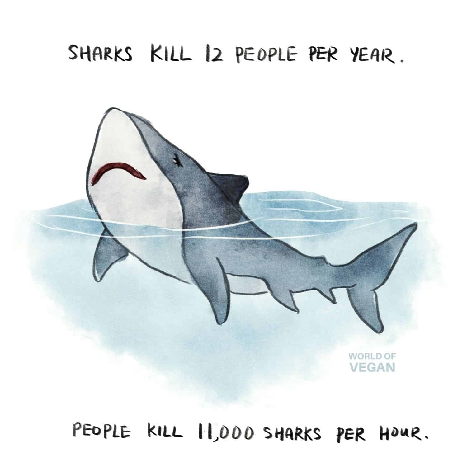 Illustration comparing annual shark deaths caused by humans versus annual human deaths caused by sharks.