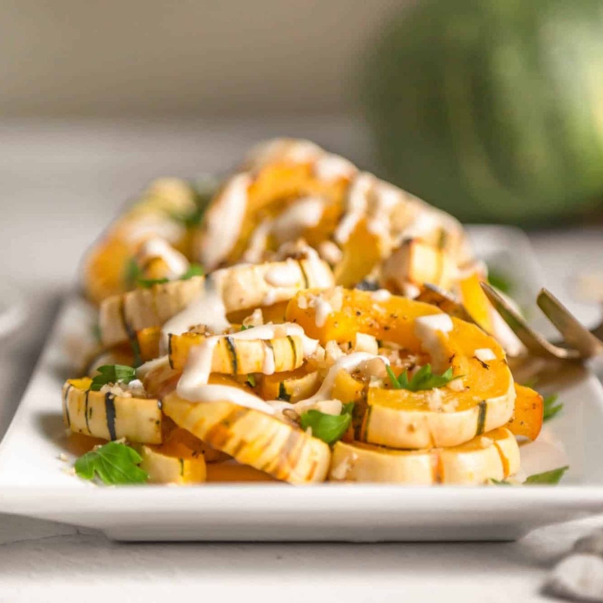 Air Fryer Delicata Squash