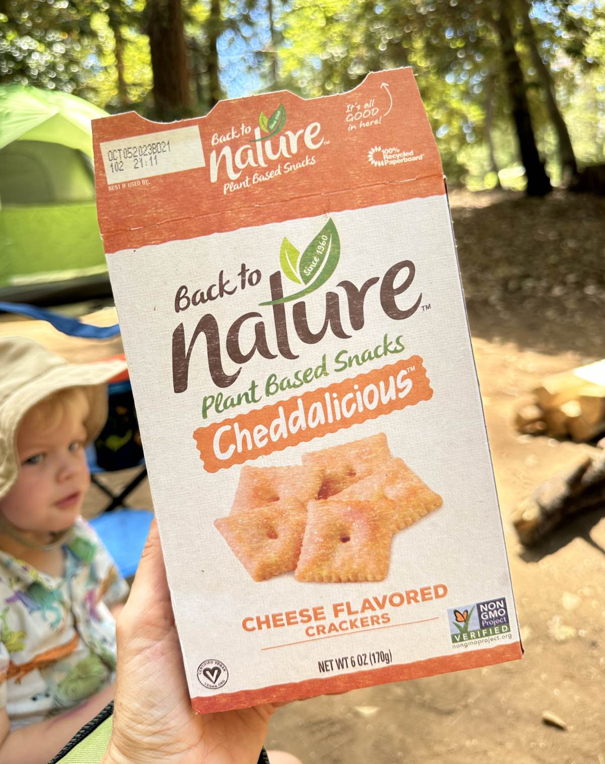 A box of Back to Nature's cheese style crackers that look like vegan Cheez-Its in a camping scene.