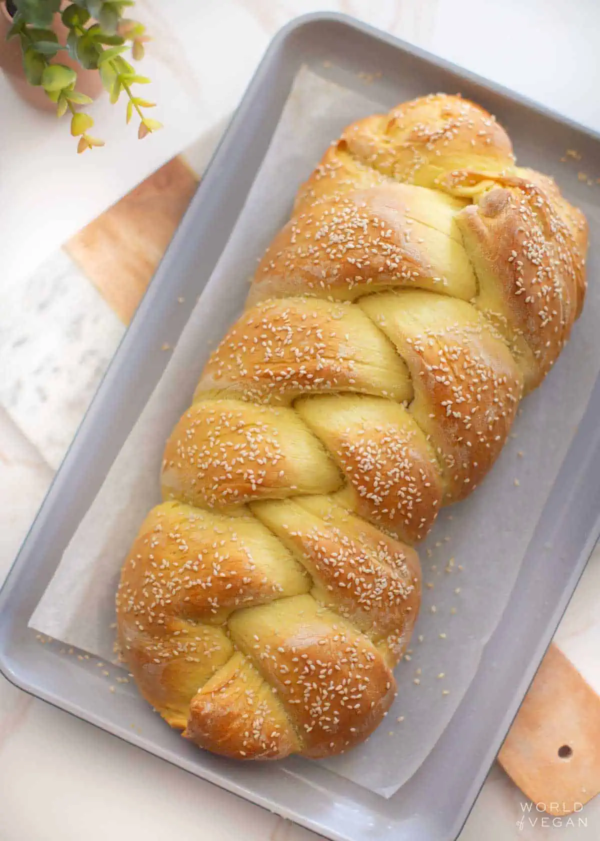 Three-strand braided vegan challah with golden crust and pillowy soft strands.