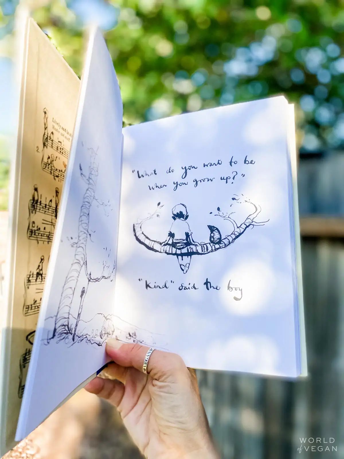 An open page of the book by Charlie Makesy.