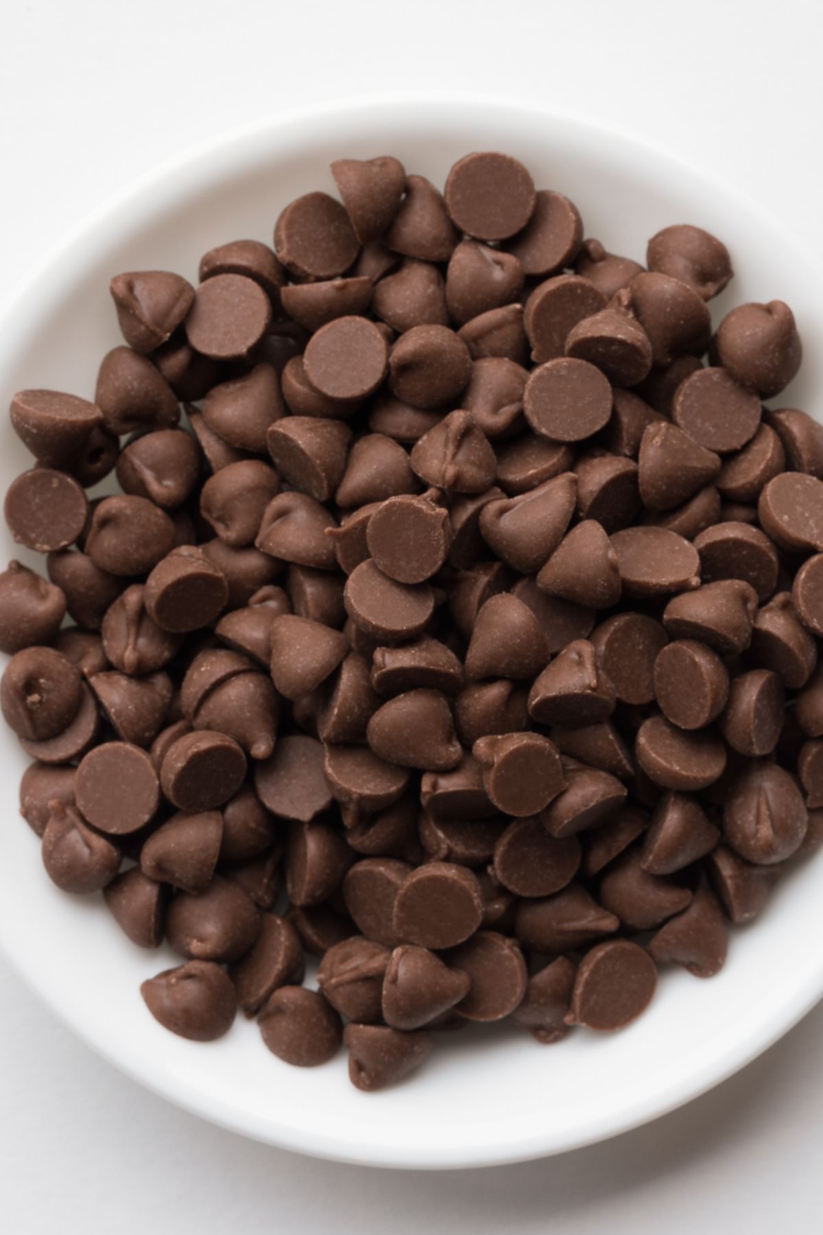 A bowl of chocolate chips.