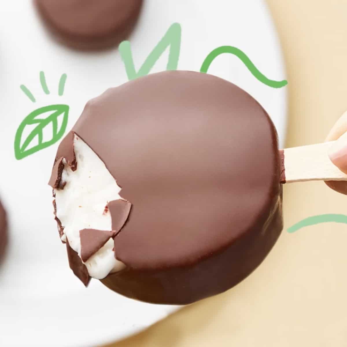 Dairy Queen Vegan Menu Options