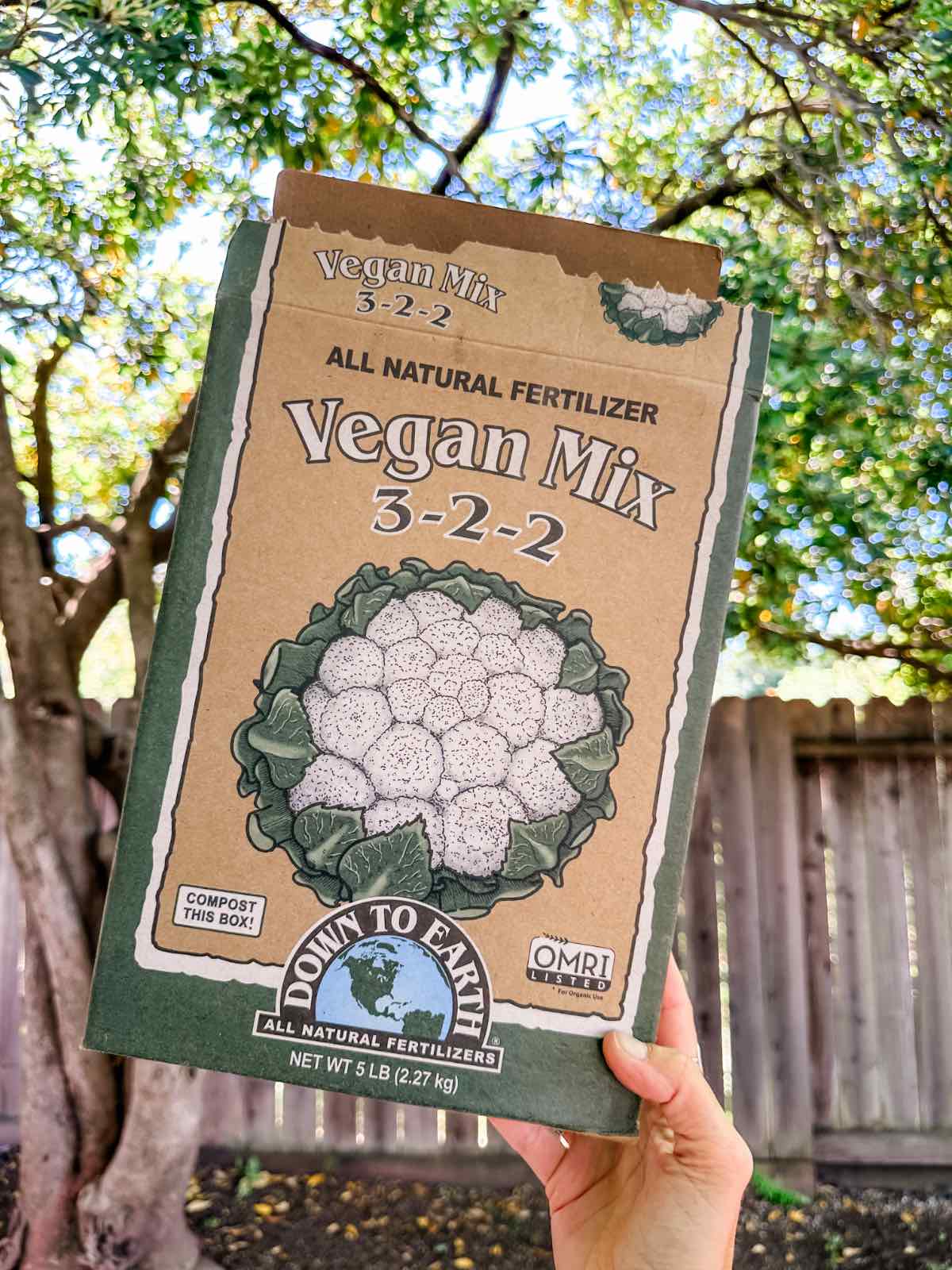 A compostable cardboard box of vegan fertilizer 3-2-2 mix from the brand Down to Earth.