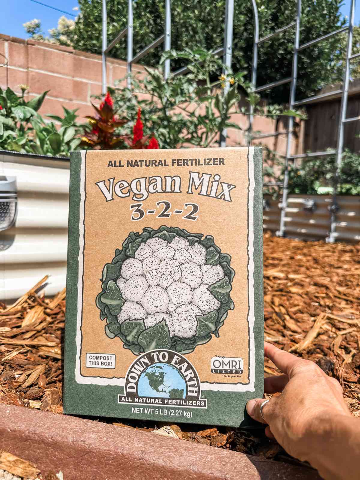 A box of Down to Earth vegan fertilizer held in front of a thriving vegetable garden.