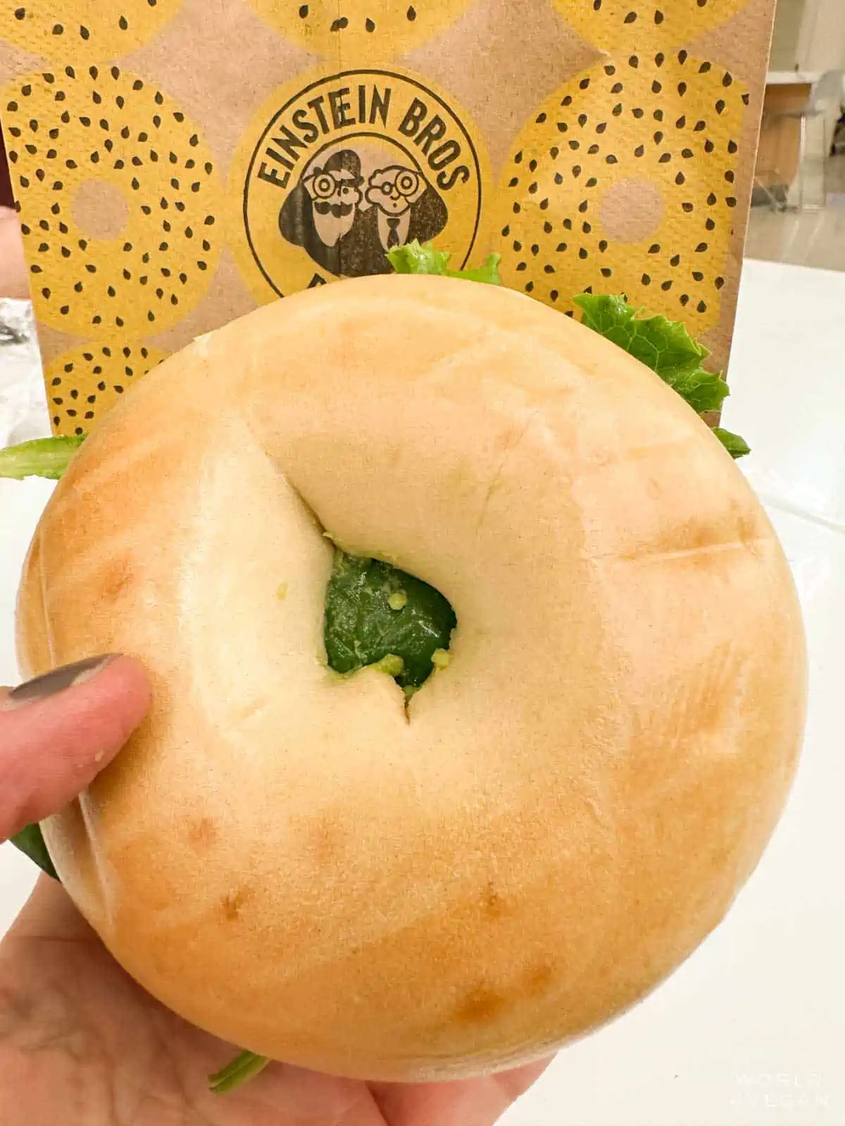 Plain bagel from Einstein Bros.