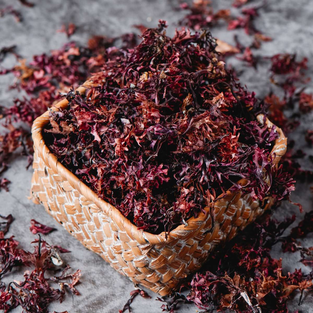 Red seaweed used to make carrageenan in a basket.