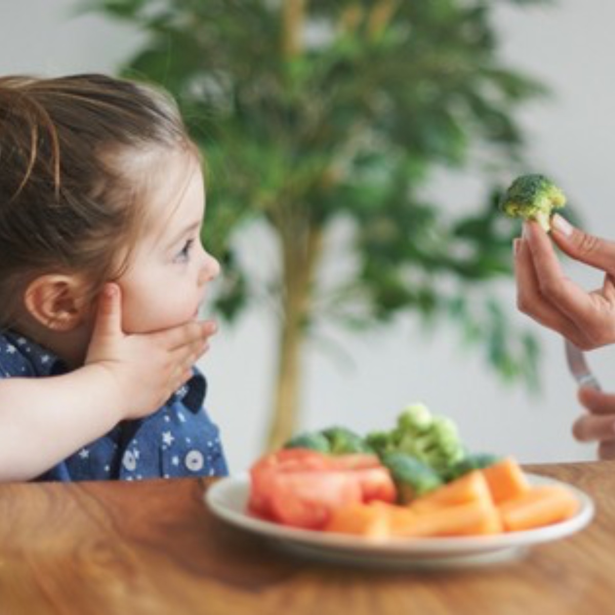 My Toddler Won’t Eat Veggies—HELP!