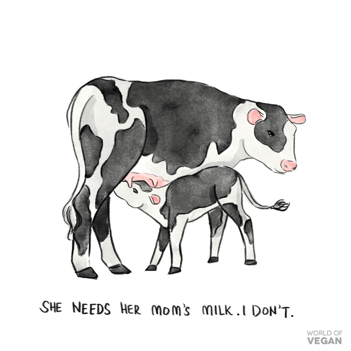 Illustration of a mother cow with her baby who is drinking her milk with the words "She needs her mom's milk; I don't."