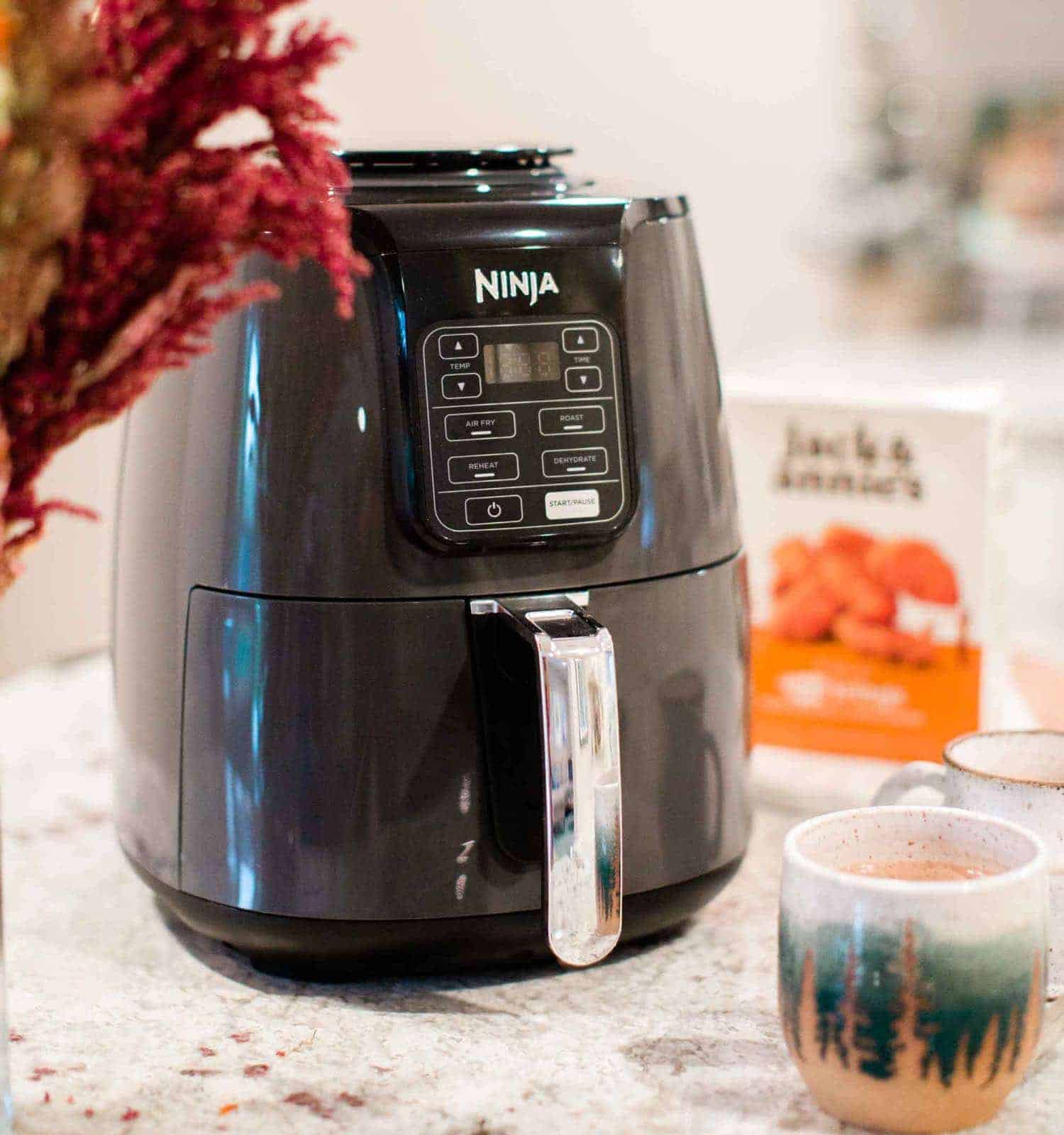A Ninja brand air fryer on a countertop.