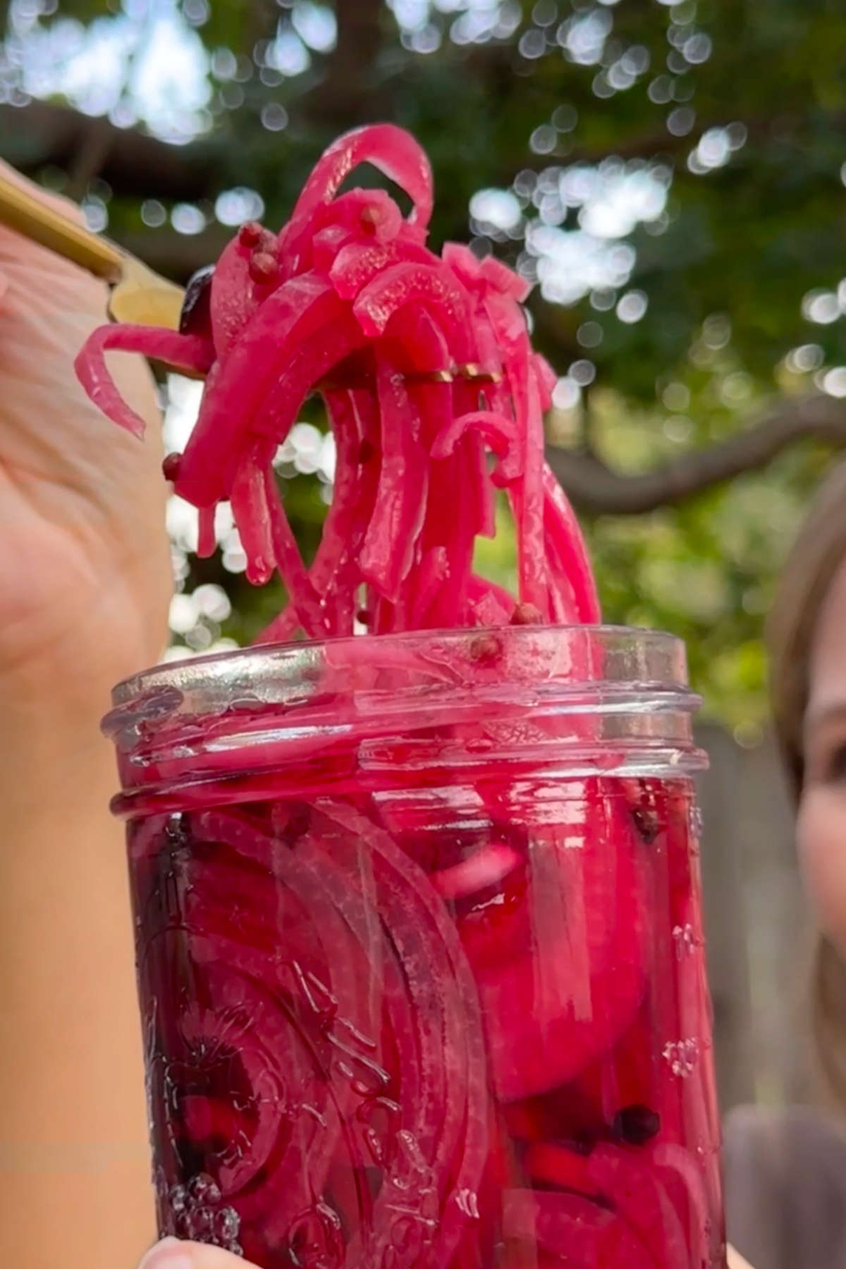 A fork lifting pickled red onions out of a mason jar.