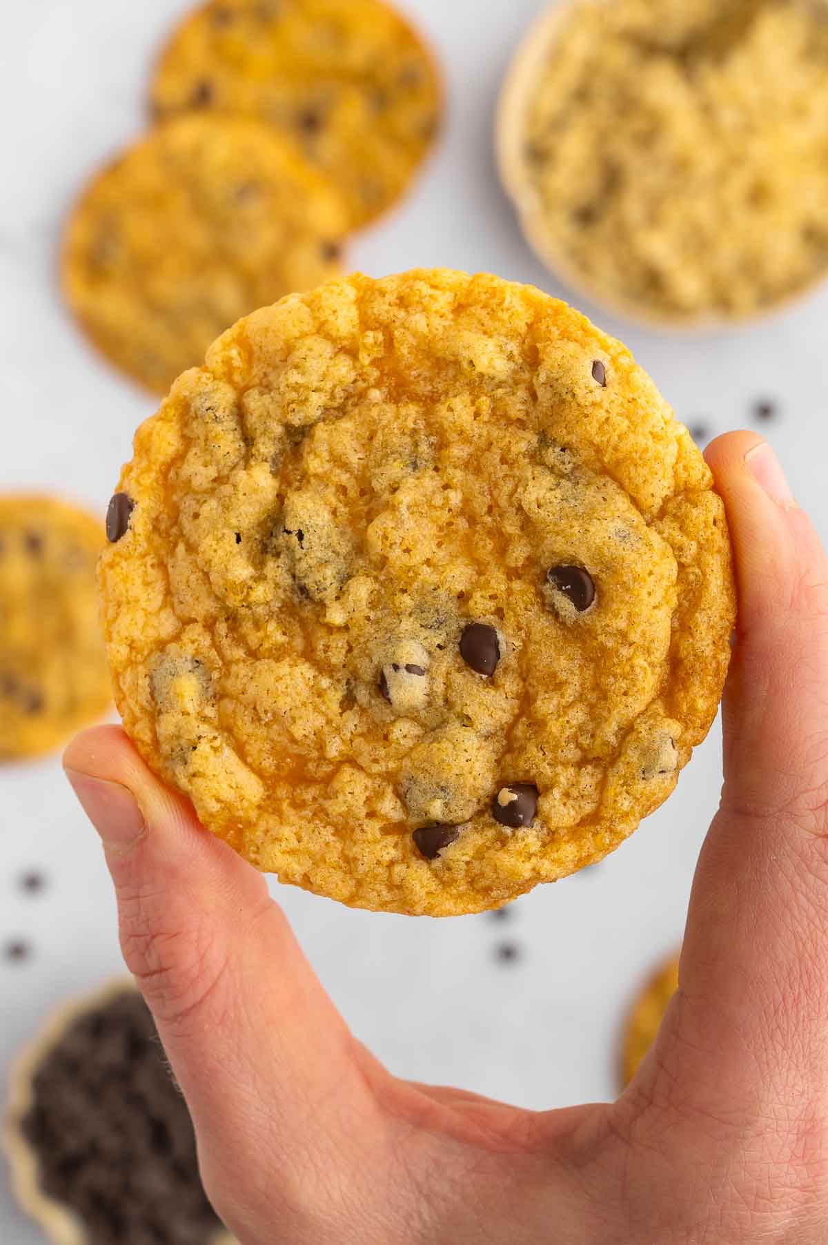A hand holding up a homemade vegan quinoa cookie.