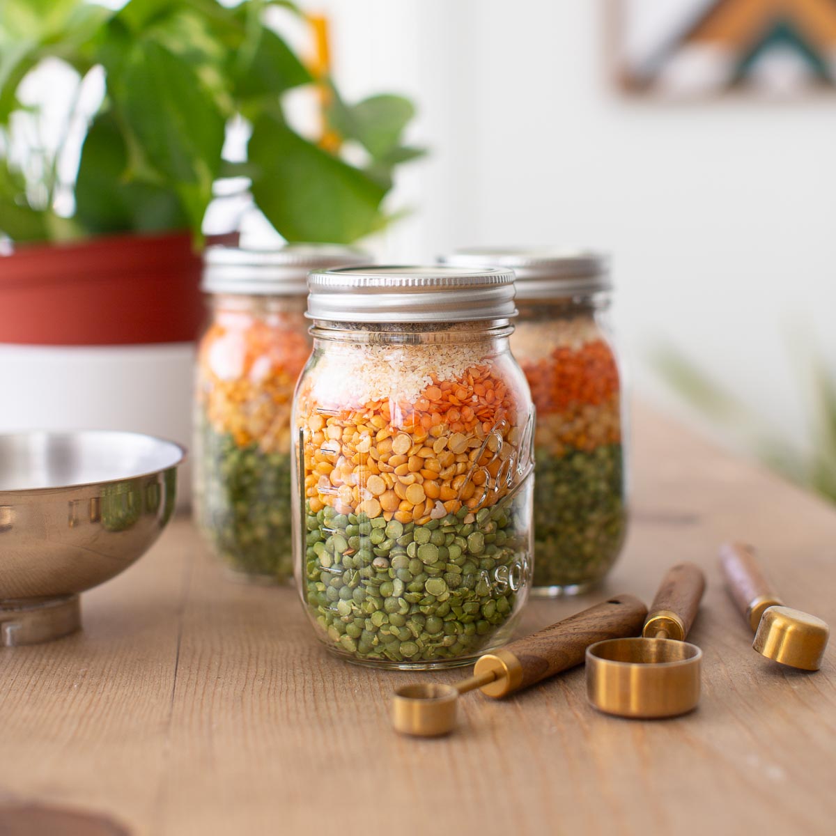 Three mason jars filled with a soup mix for split pea lentil soup.