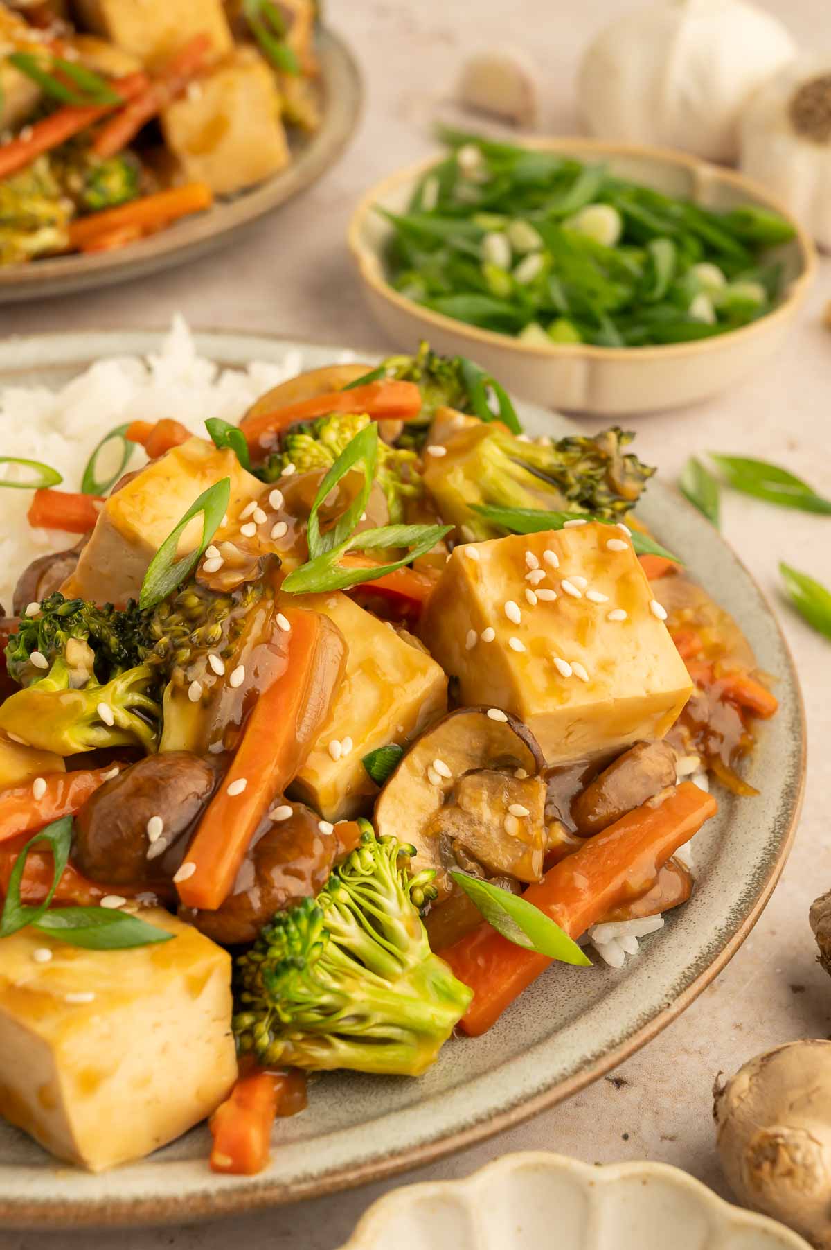Side angle of a plant-based stir fry with tofu, broccoli, and carrots over rice.