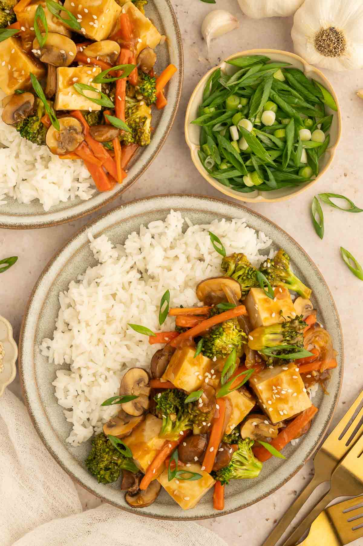 Two servings of teriyaki stir fry ready to enjoy with green onions on top.
