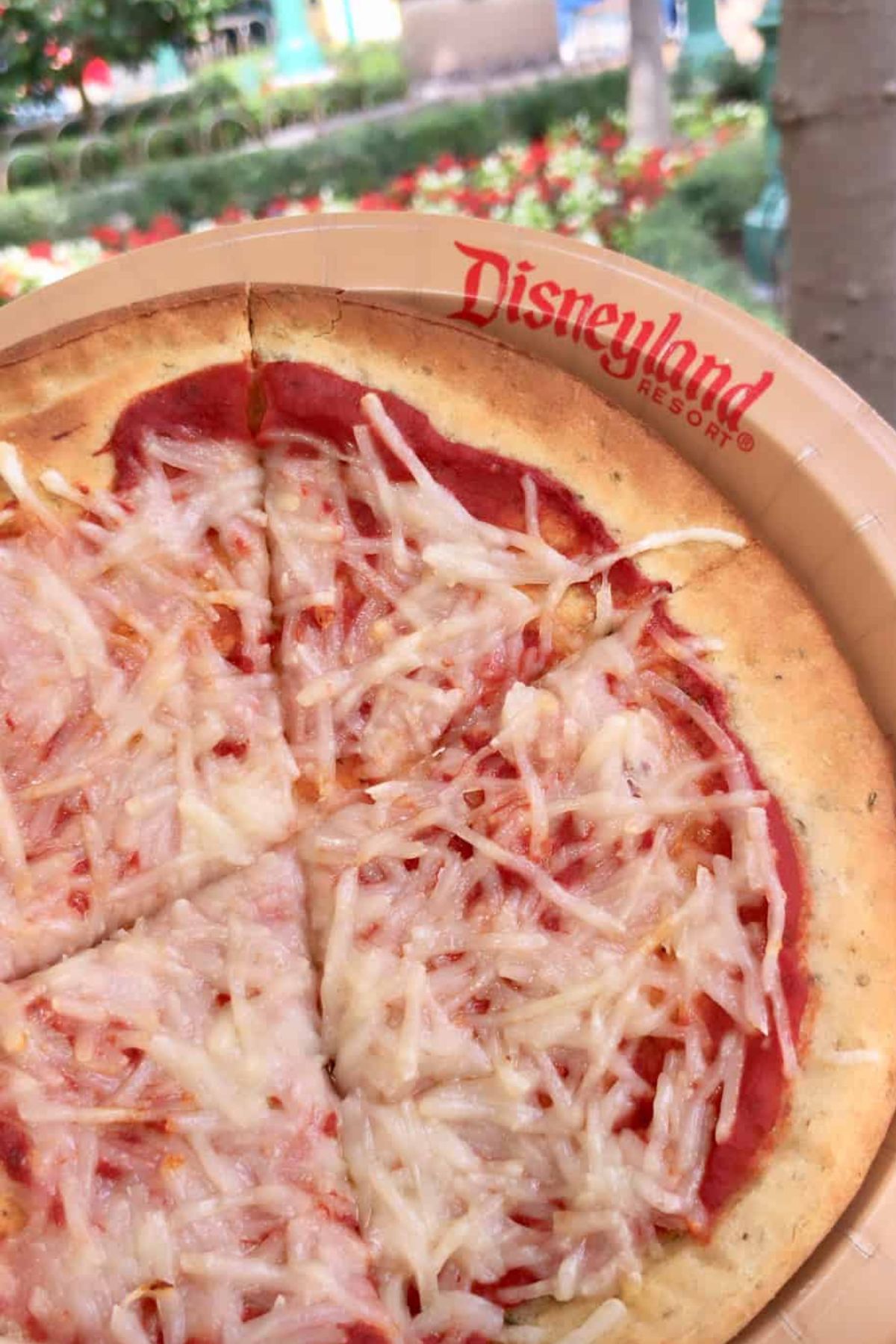 Vegan pizza with plant-based cheese and marinara sauce served at Boardwalk Pizza and Pasta in California Adventure, offering a tasty plant-based pizza option.