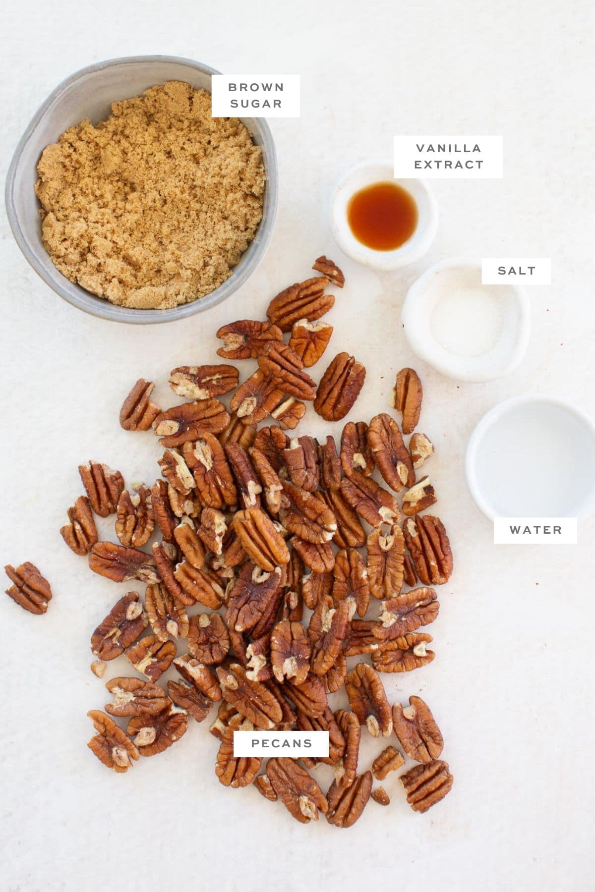 The gathered ingredient for making vegan candied pecans including pecans, brown sugar, vanilla extract, salt, and water.