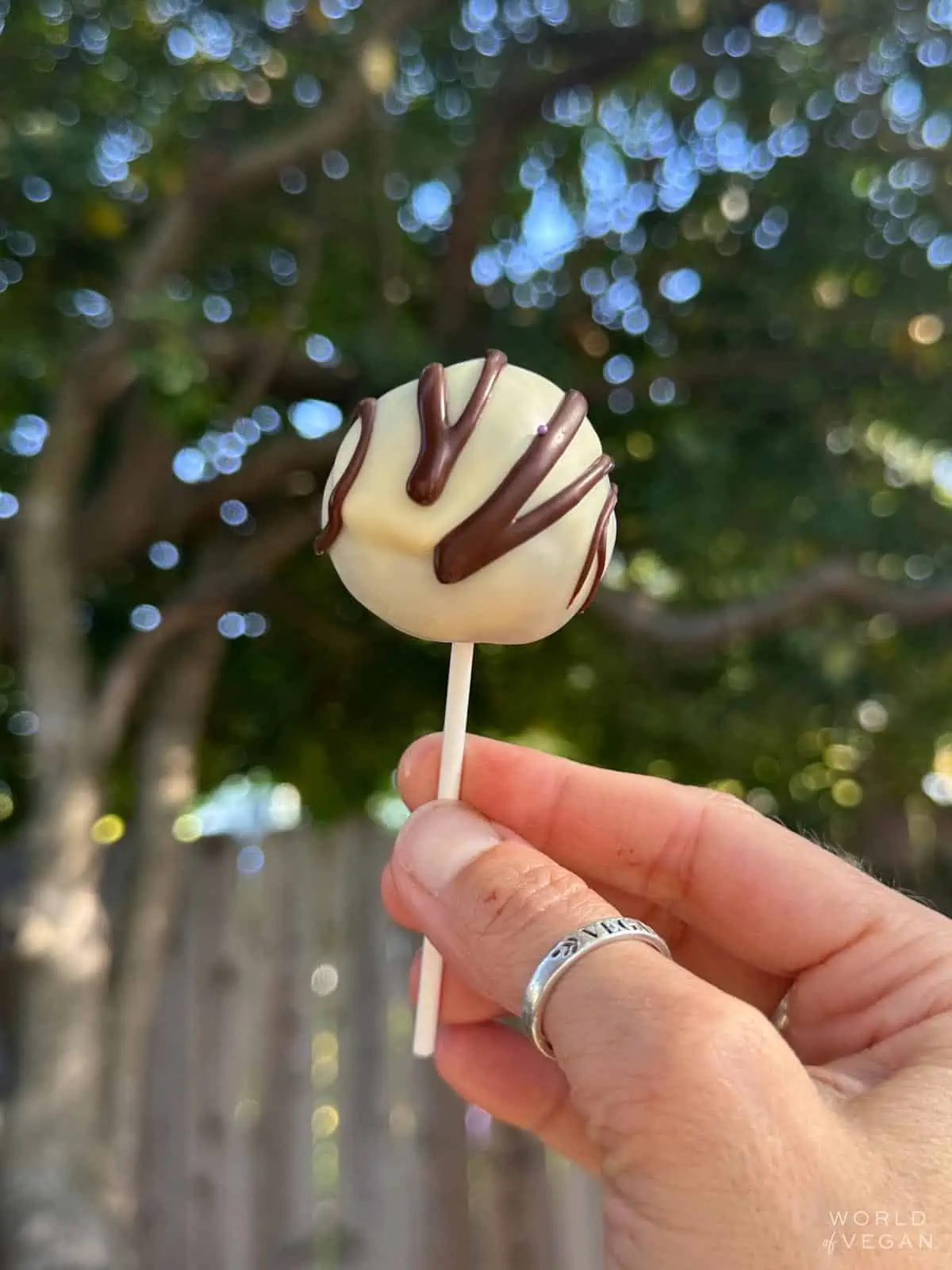 White chocolate cookie dough pop with dark chocolate drizzle decoration.