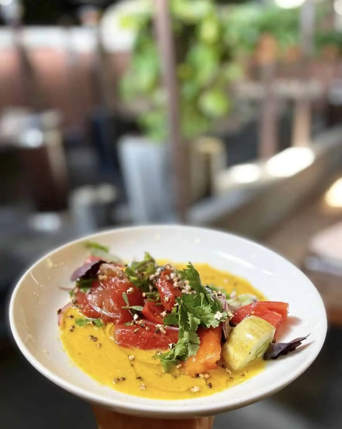 Plated vegan fine dining dish at Millennium Restaurant in Rockridge, Oakland.