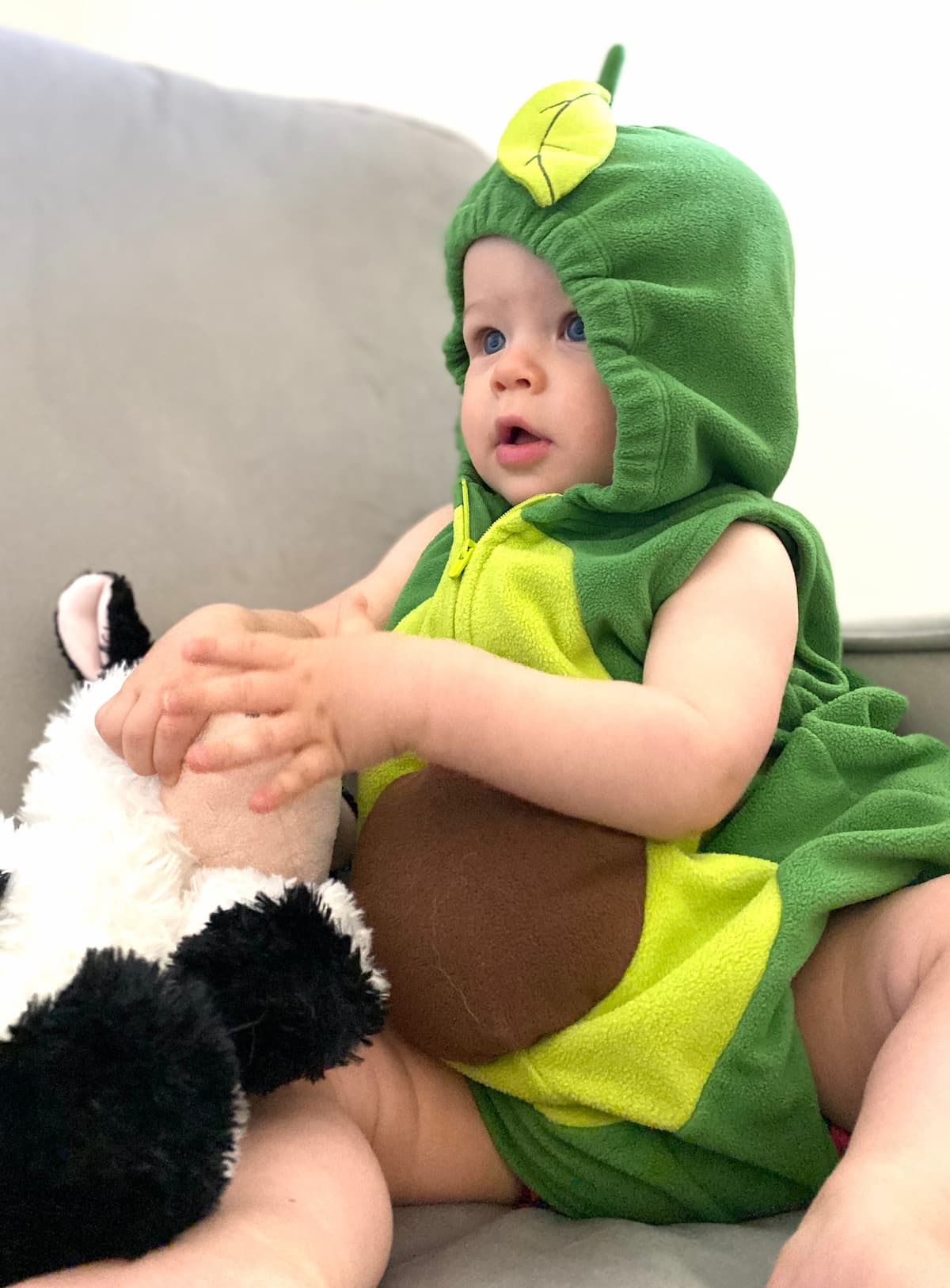 A baby in a vegan Halloween avocado costume.