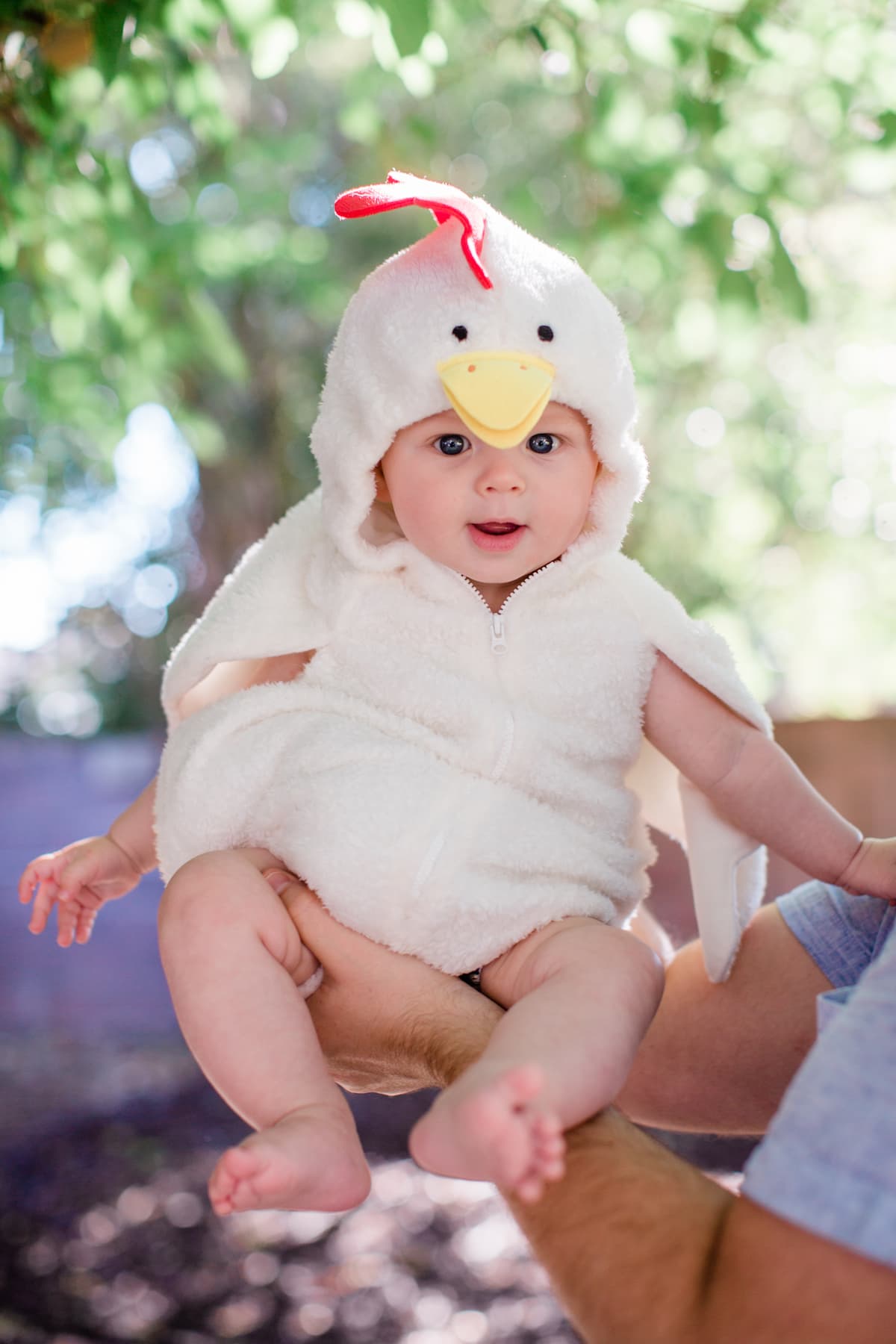 A baby in a vegan chicken Halloween costume.