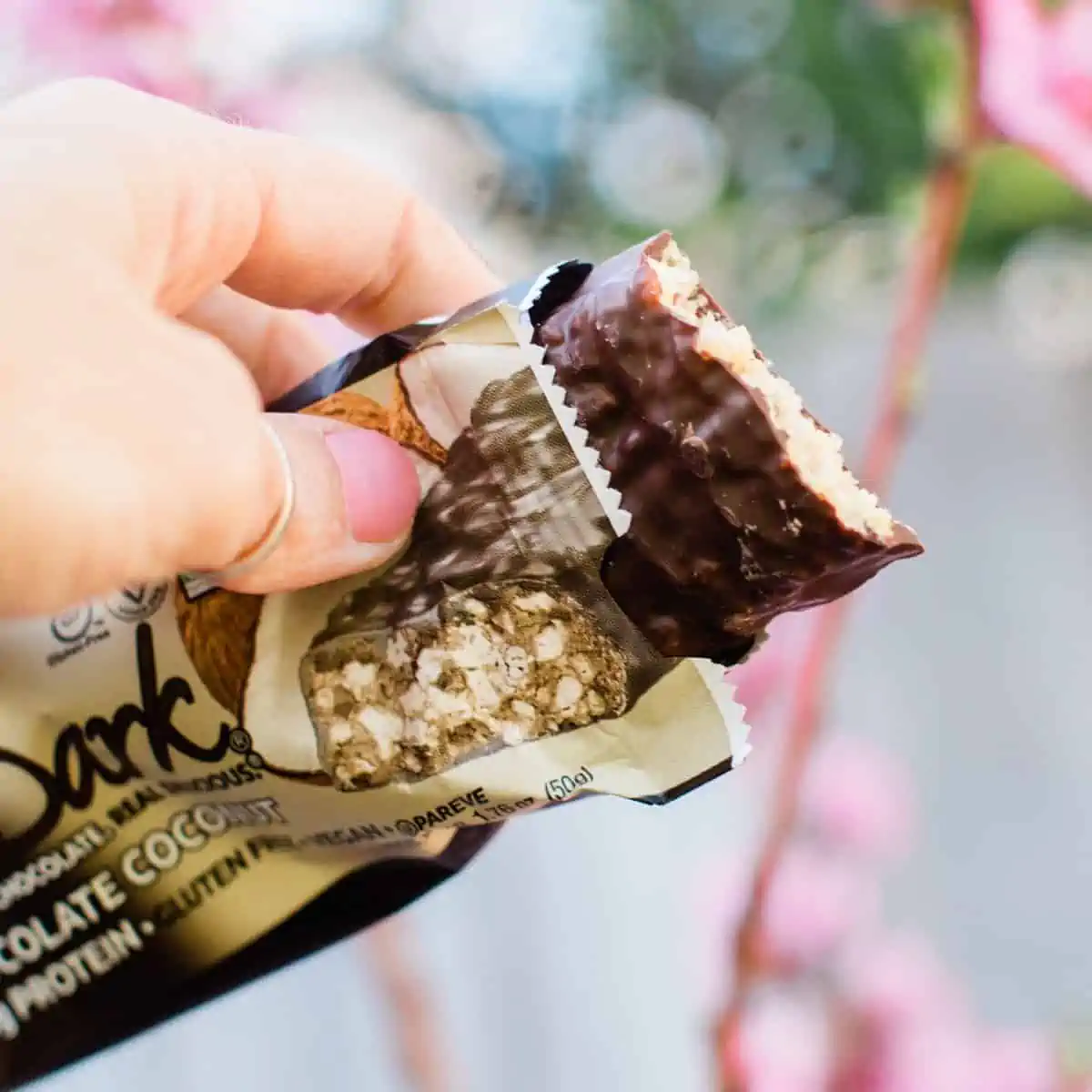 A vegan protein bar.