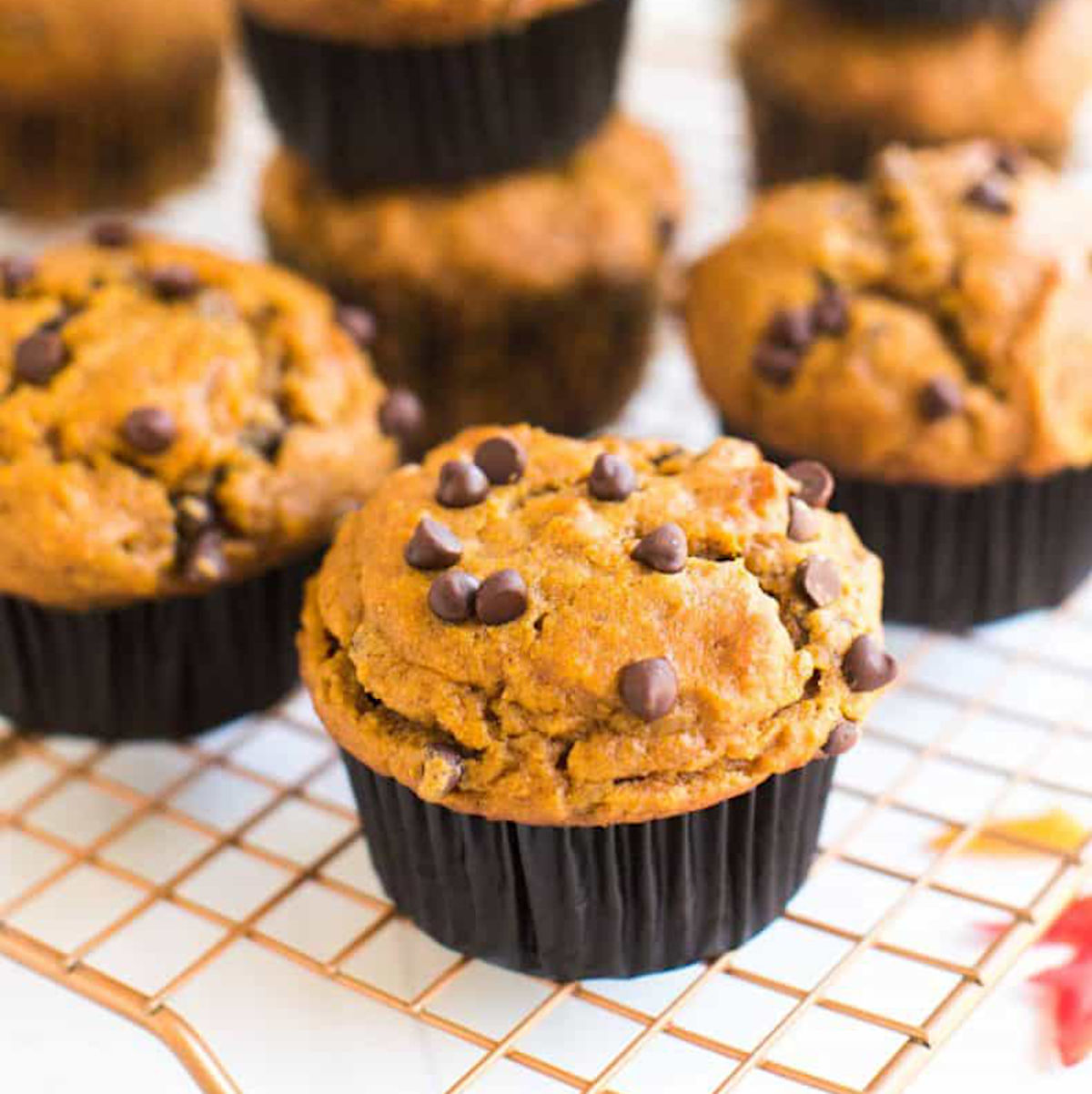 Vegan Pumpkin Muffins With Chocolate Chips