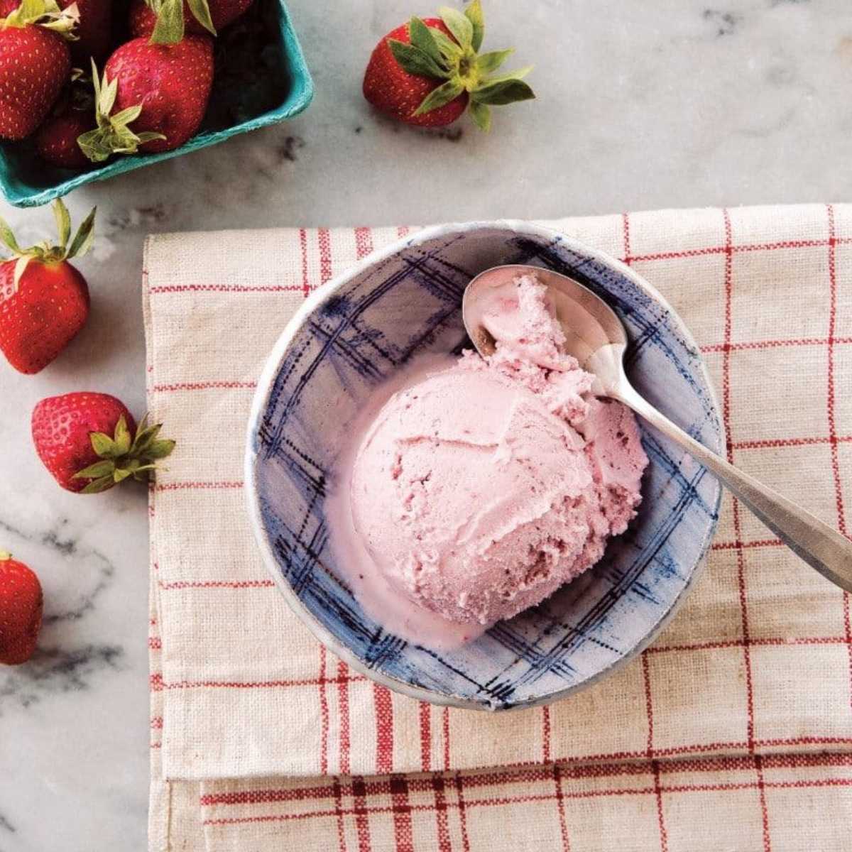 Vegan Strawberry Ice Cream