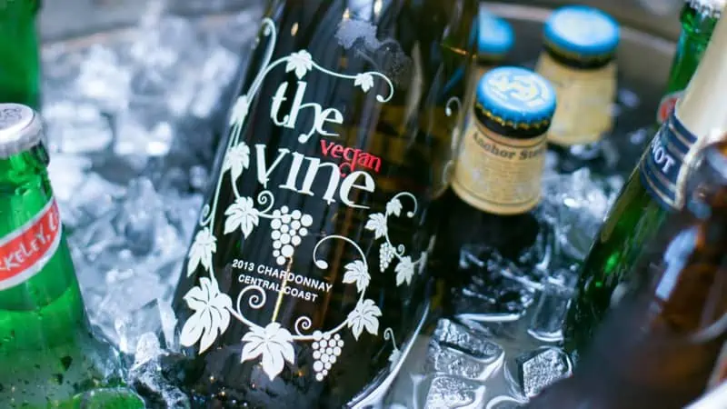 A bottle of The Vegan Vine wine in a cooler.
