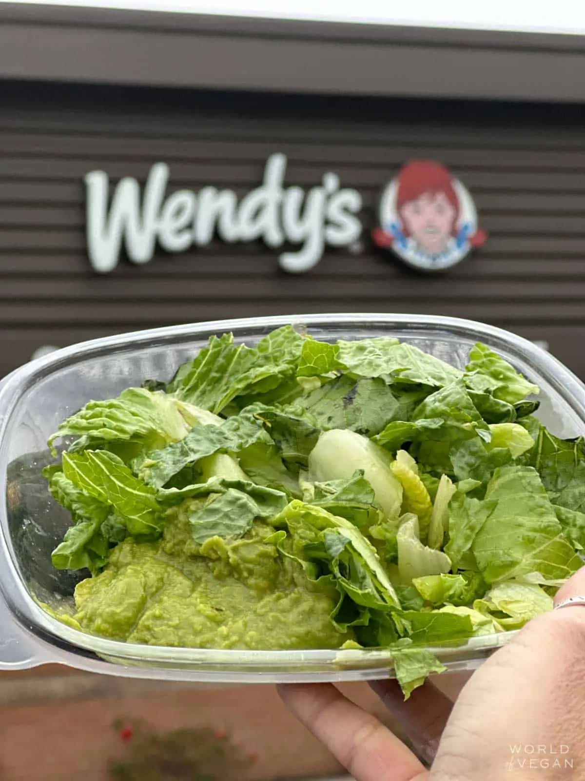Wendys salad ordered vegan with just lettuce and avocado and pomegranate dressing.