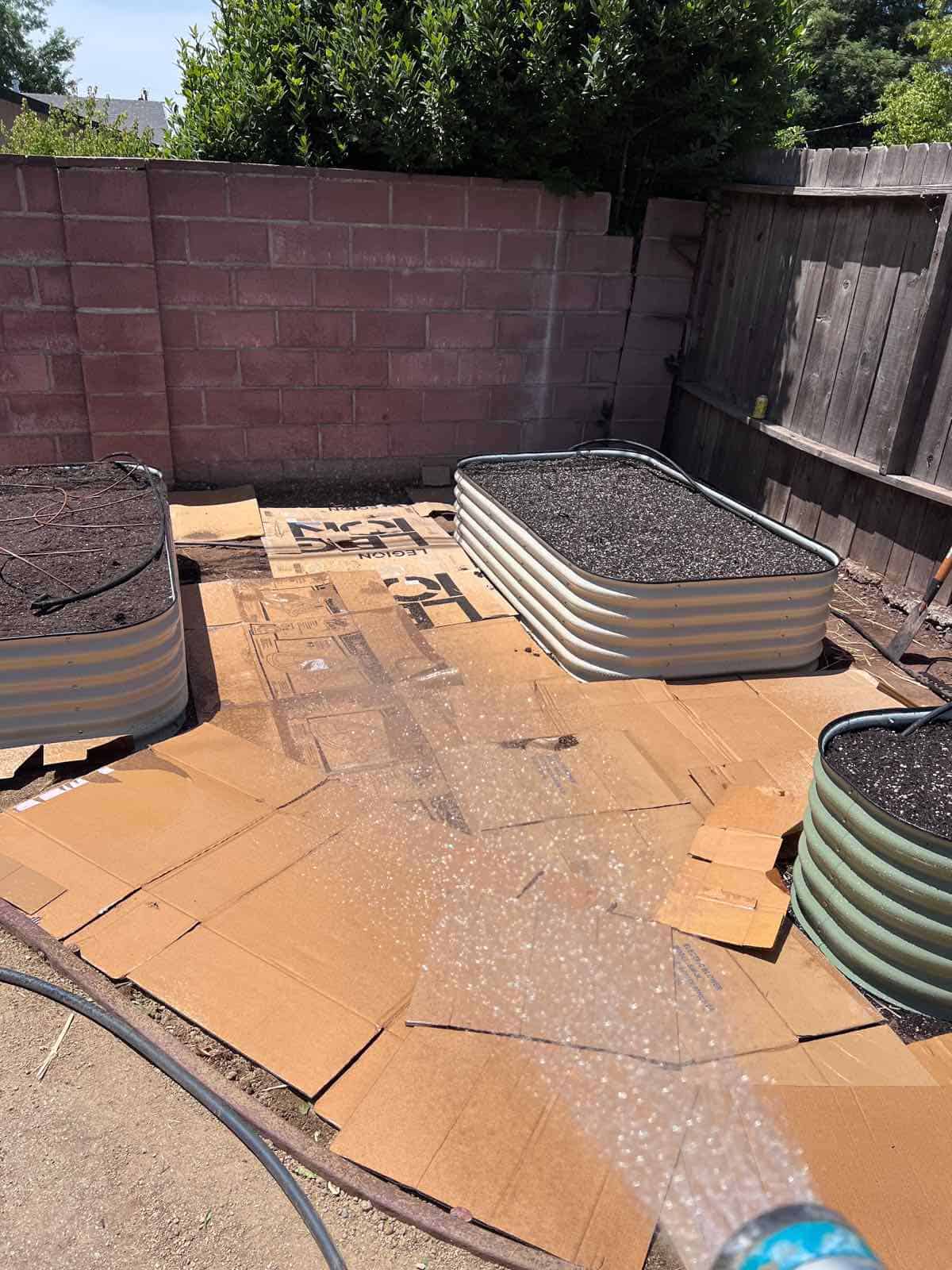 A close-up of cardboard laid down between garden beds as a natural weed barrier.