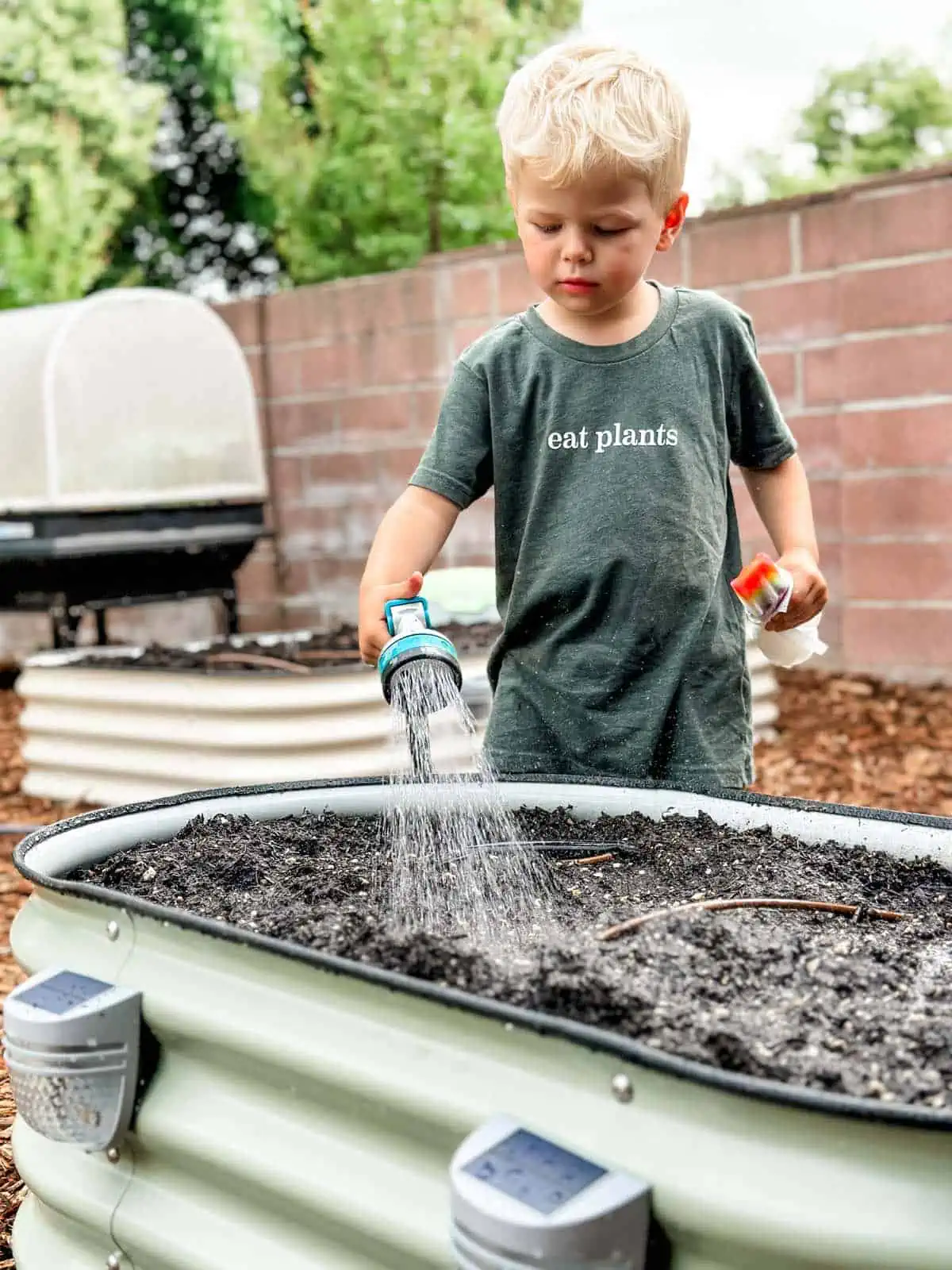 A young child standing near a raised garden bed, watering plants with a small watering can.