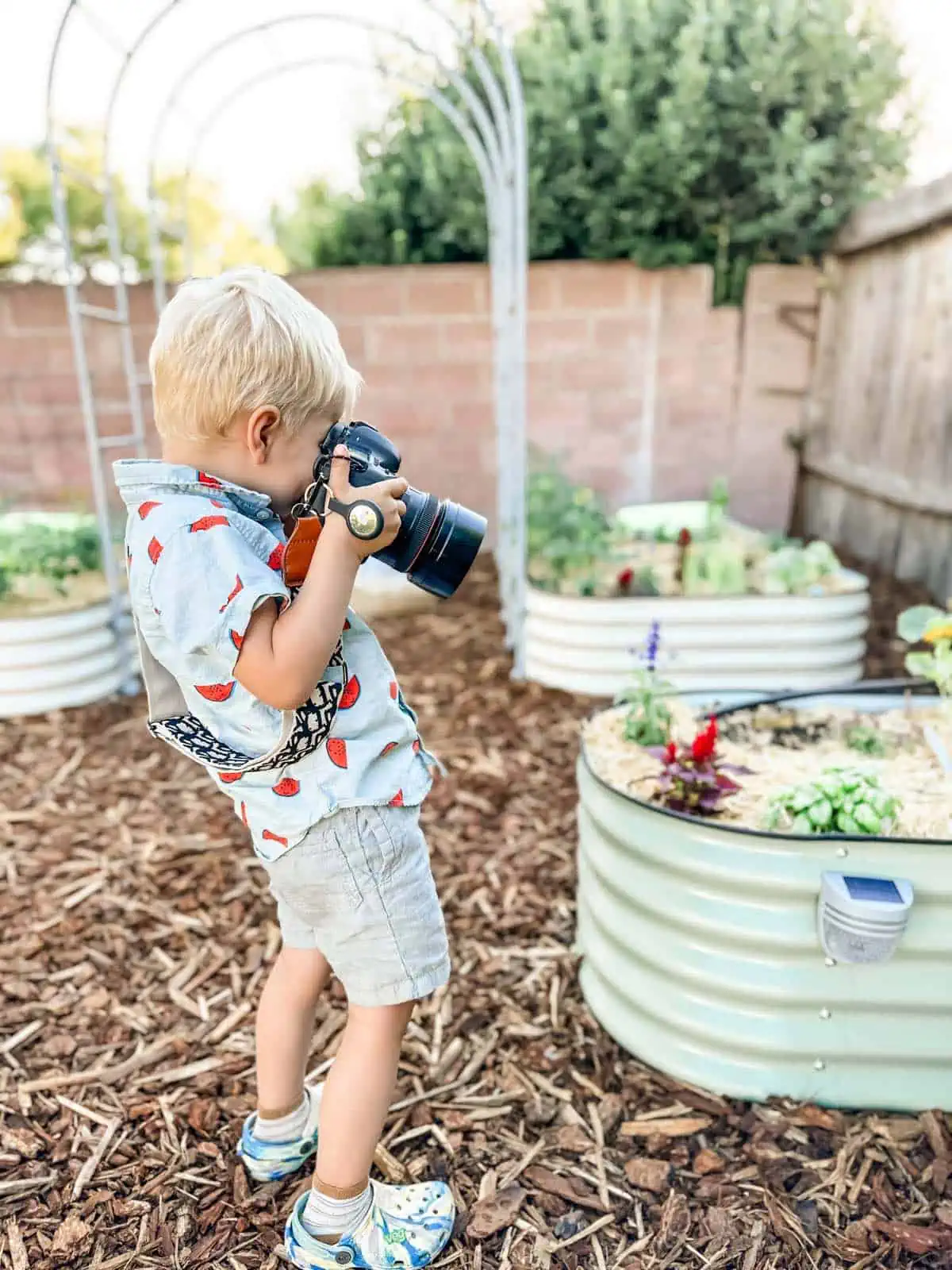 Vegan toddler Graham Miller taking photos of his new Vego kid's garden bed.