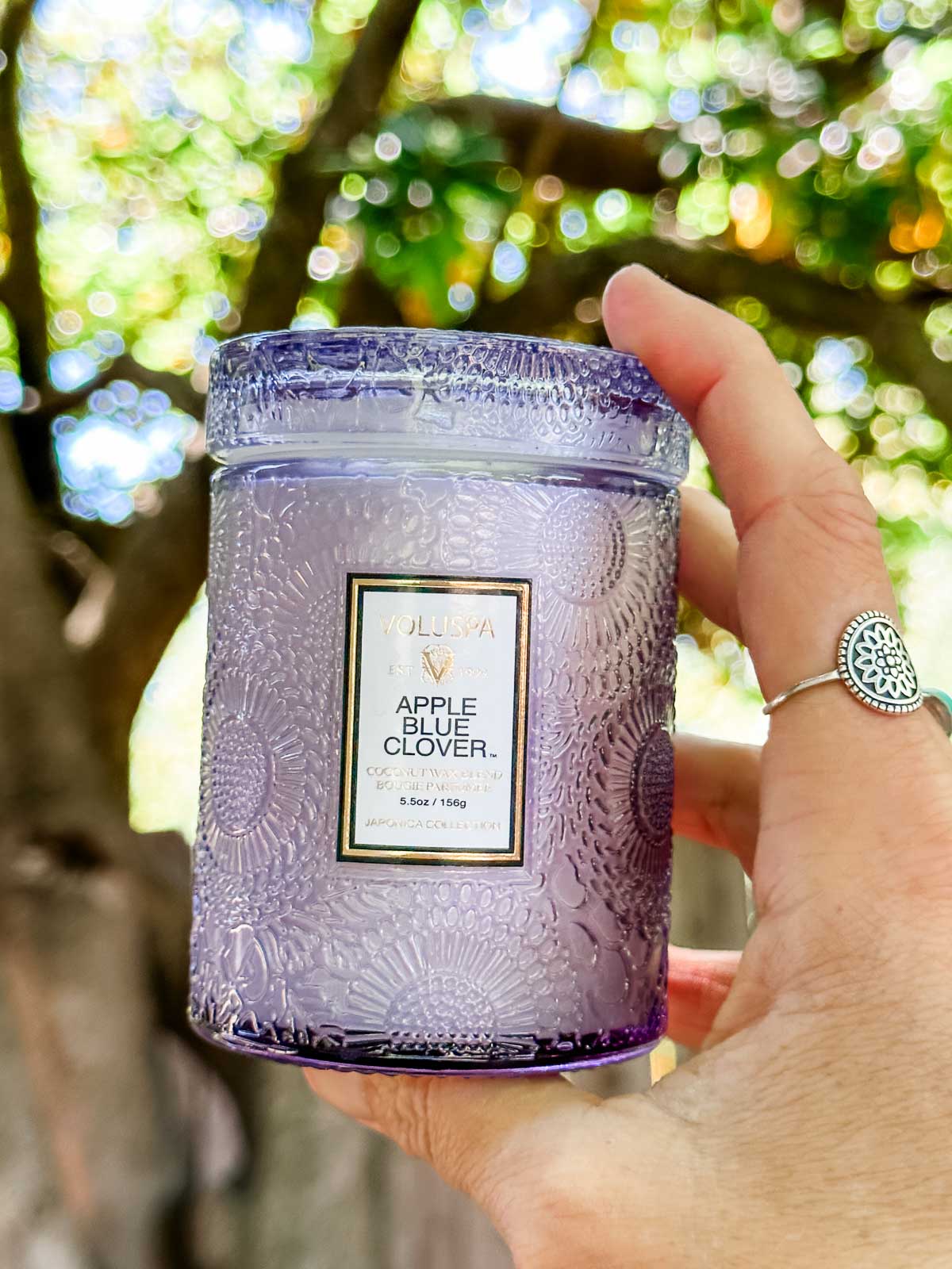 A Voluspa vegan candle.