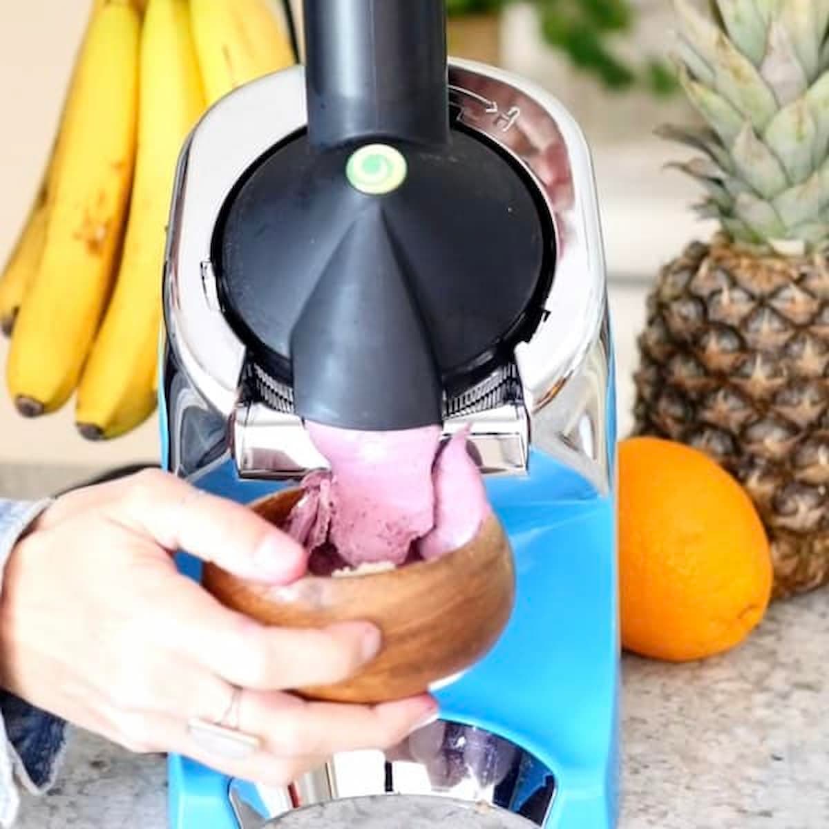 A Yonanas brand banana soft serve maker.